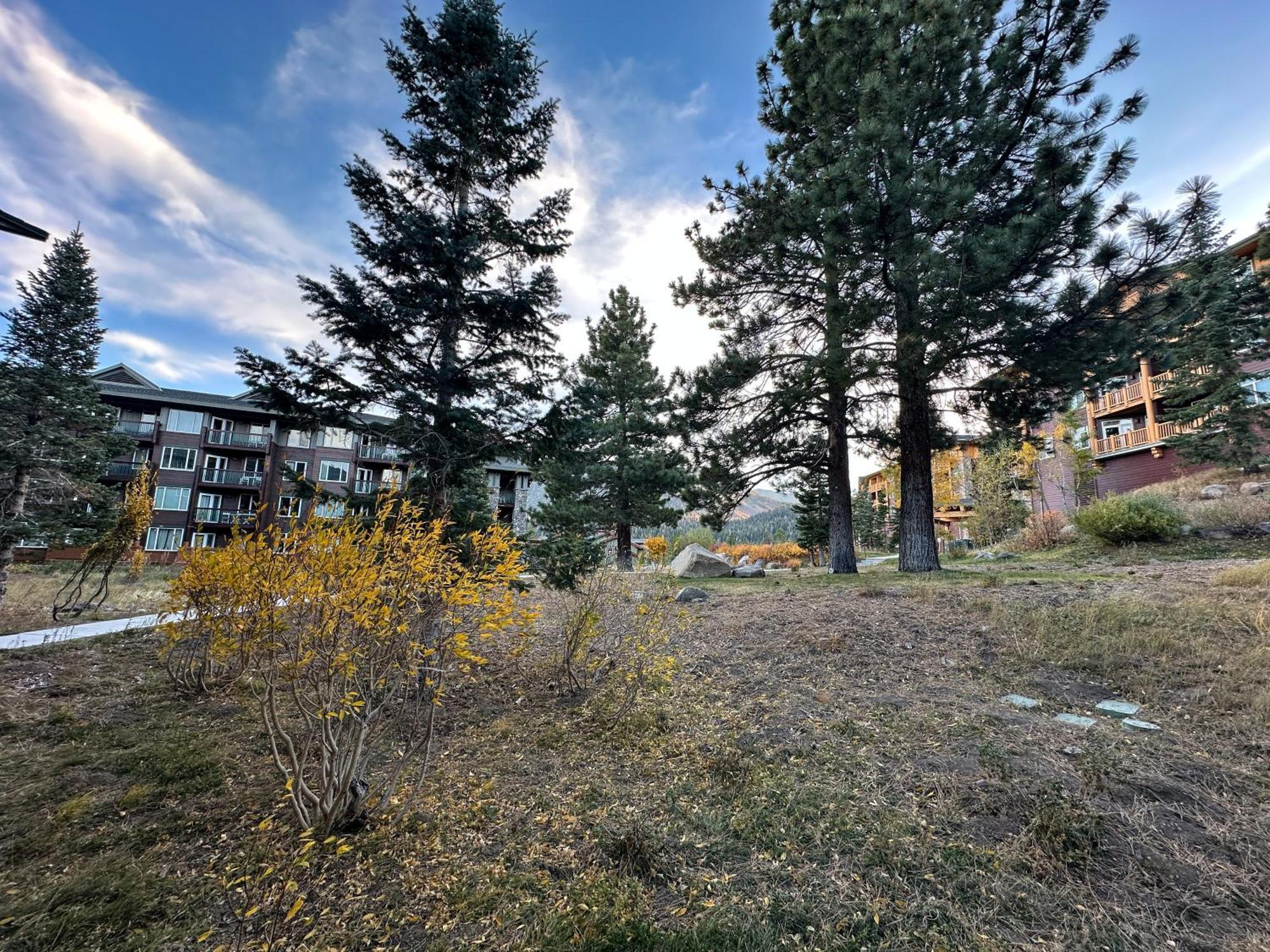 Juniper Springs Lodge #246 Condo Mammoth Lakes Extérieur photo